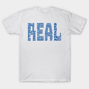 Real Madrid 2021 - 2022 T-Shirt